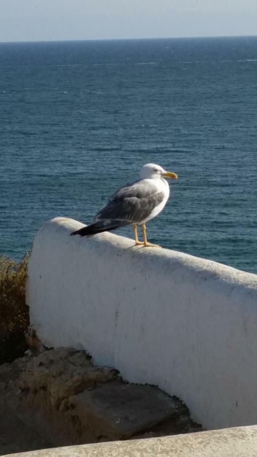 Algarve/Sra da Rocha Lägenhet Porches  Exteriör bild